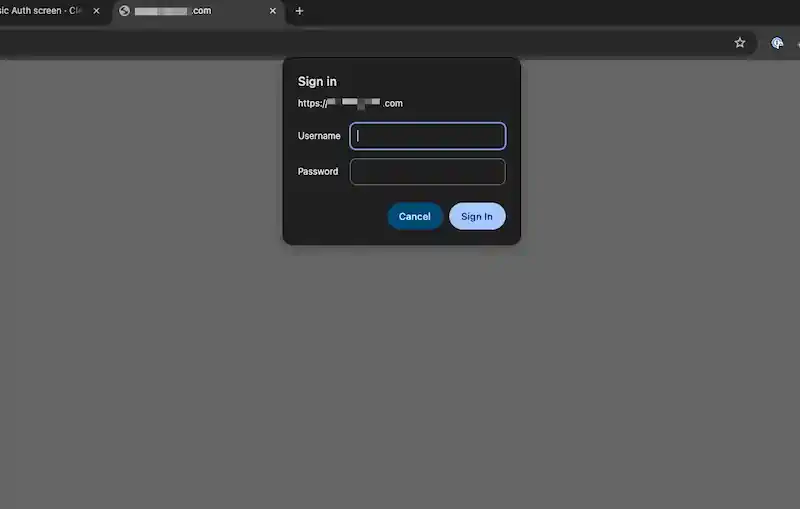 Basic auth screen asking for user/pass